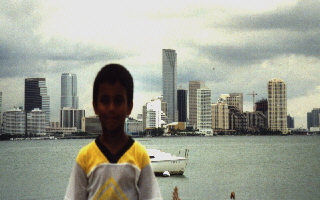 auf Key Biscayne, im Hintergrund Miami Downtown