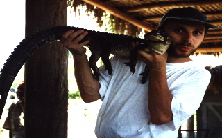 mit einem Alligator